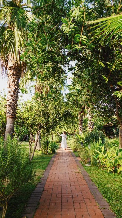 Parc de vacanță Lukka Çıralı