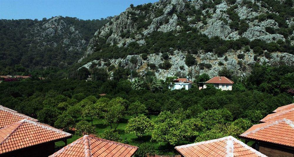 Lukka Çıralı